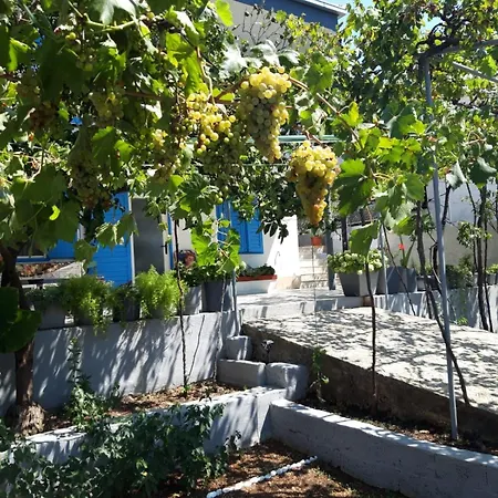 Zlata * Poljica (Trogir)