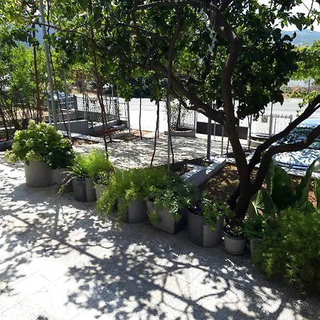 Zlata * Poljica (Trogir)