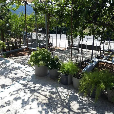 Apartment Zlata *